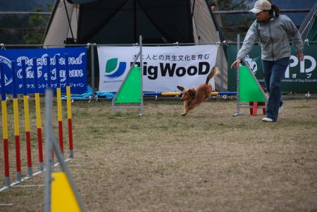 アジから学ぶ大きなこと.jpg