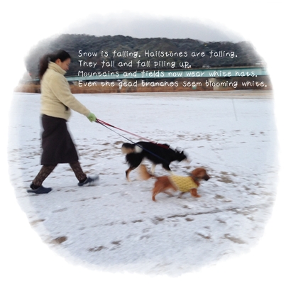 つもちゃった.jpg
