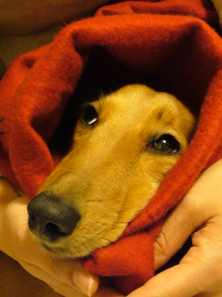 寝させてください.jpg