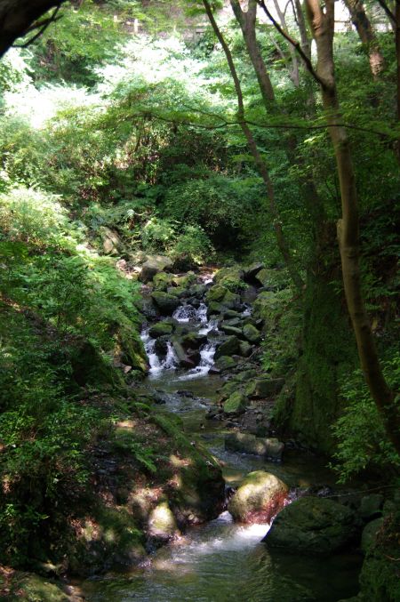 日陰は涼しい〜.jpg