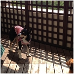 水遊びして!.jpg